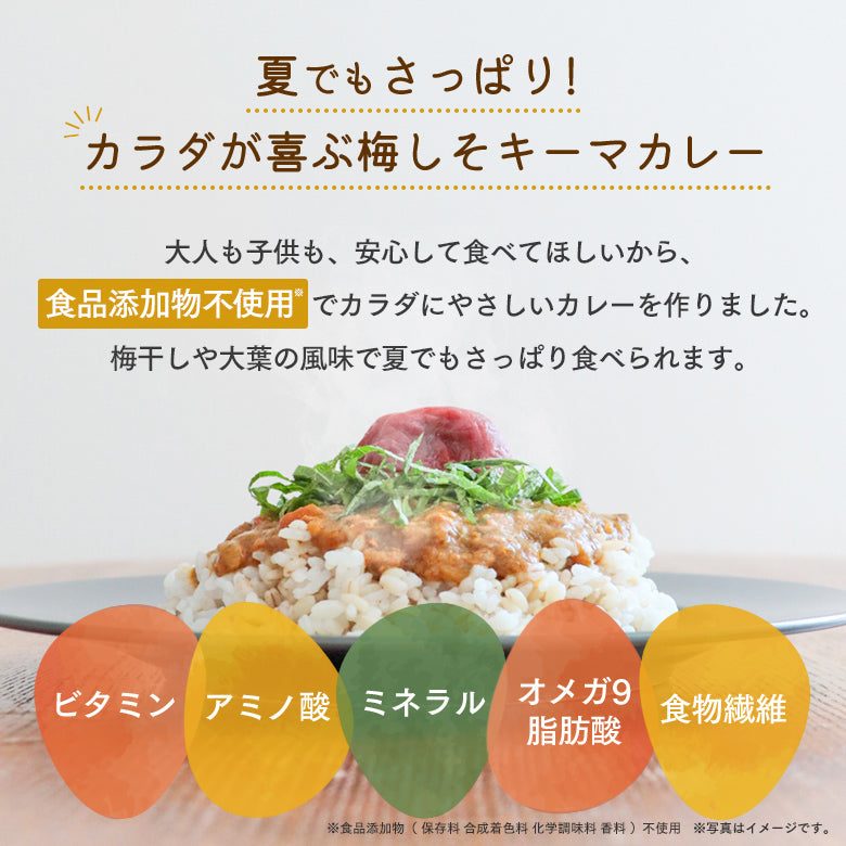 むにゃさんコラボ カラダにごほうび 梅しそキーマカレー【4個セット】