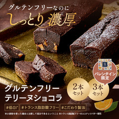 グルテンフリー　テリーヌショコラ