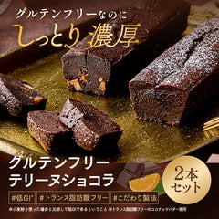 グルテンフリー　テリーヌショコラ